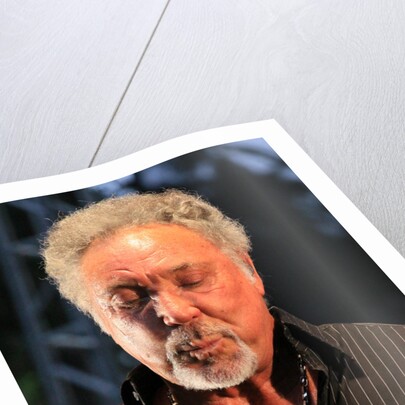 Tom Jones by L. Paul Mann